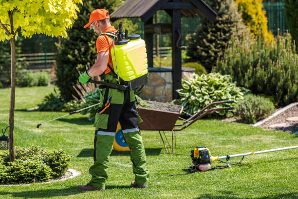 Lawn Pest Control in Aptos Hills Larkin Valley, CA